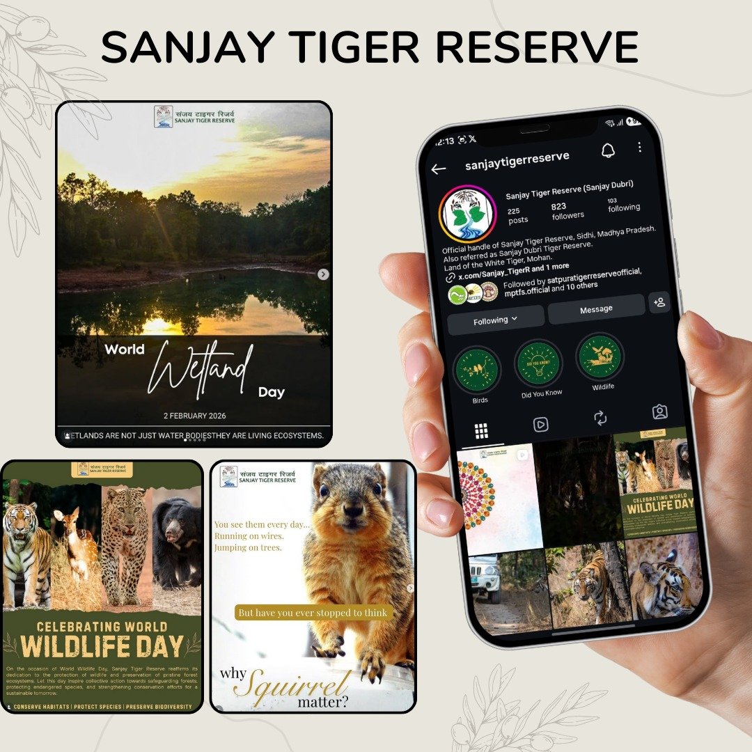 Sanjay Tiger Reserve
